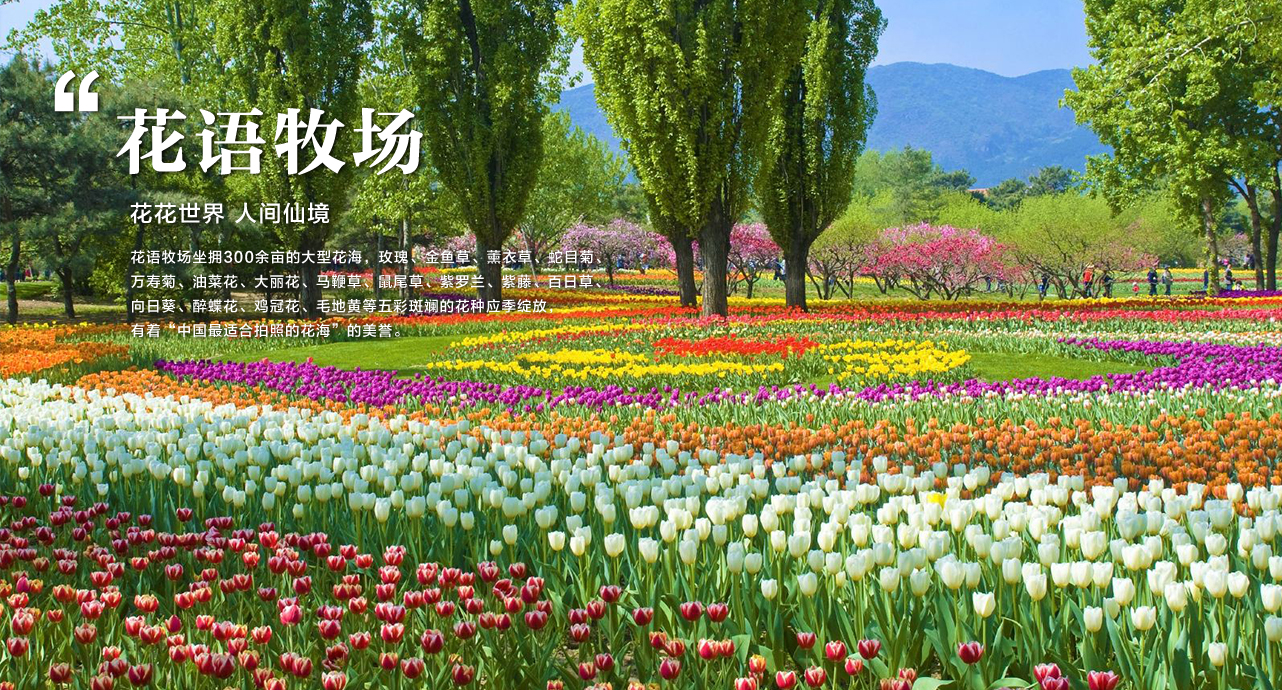 什么牌子的智能鎖性價比高？